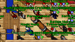 Paraguailoko on screen