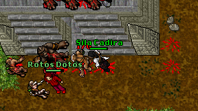 Sila Cadira on screen