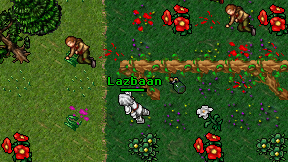 Lazbaan on screen