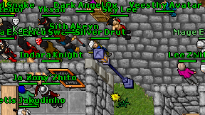 Mage Evolution on screen