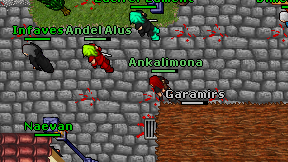 Ankalimona on screen