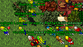 Odin Ruler on screen
