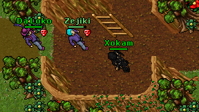 Xokam on screen