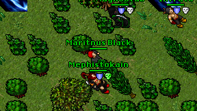 Maritnus Black on screen