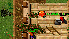 Dzagir on screen