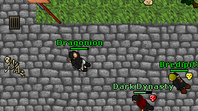 Dragonion on screen