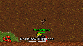 Montune on screen