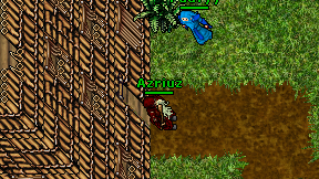 Azriuz on screen