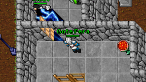Gote Fera on screen