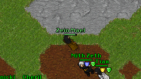 Zein Mael on screen