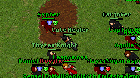 Cute Healer on screen
