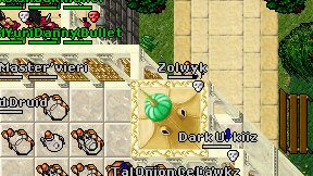Zolwyk on screen