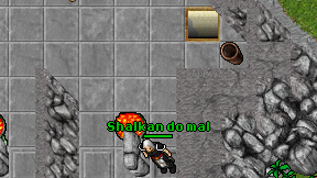Shalkan do mal on screen