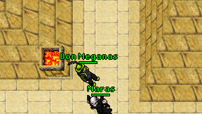 Bon Meganas on screen