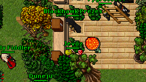 Jevoz on screen