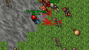 Trus Evex on screen