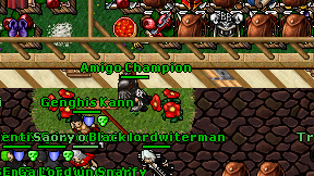 Amigo Champion on screen