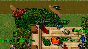 Yoytman on screen