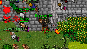 Bassanly on screen