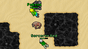 Sorcerer Xed on screen