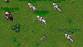 Xilonihu on screen