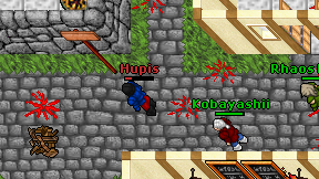 Hupis on screen