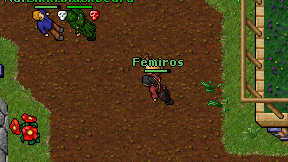 Femiros on screen