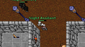 Night Assilant on screen
