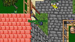 Bgam Druid on screen