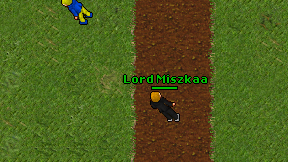 Lord Miszkaa on screen