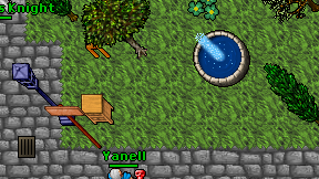 Bini da druid on screen