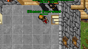 Elianor Everwind on screen
