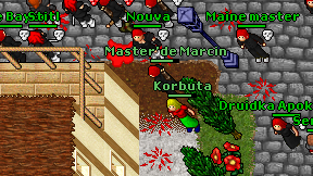 Korbuta on screen