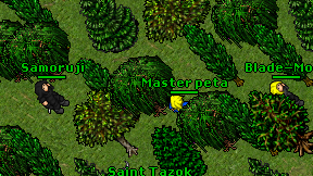 Master peta on screen