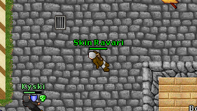 Skin Ravari on screen
