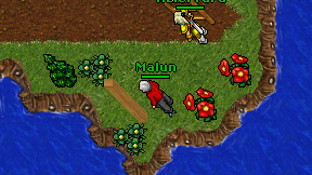 Malun on screen
