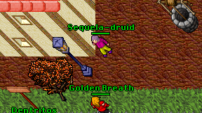 Sequela-druid on screen
