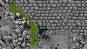 Croit on screen