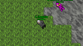 Lilapix on screen