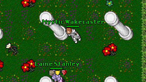 Mystic Wakecaster on screen