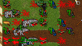 Belleos on screen