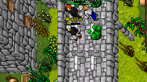 Walla on screen