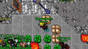 Reynken on screen