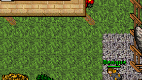 Bushmaan on screen