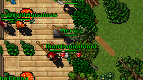 Merkiz on screen