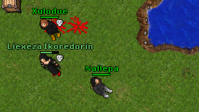 Nallepa on screen