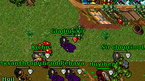 Gladius Vir on screen