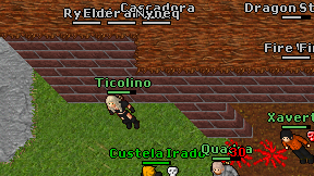 Nyneq on screen