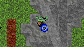 Wakex on screen