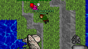 Movokeet on screen